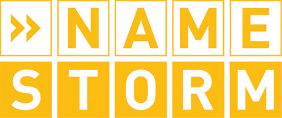 Namestorm logo